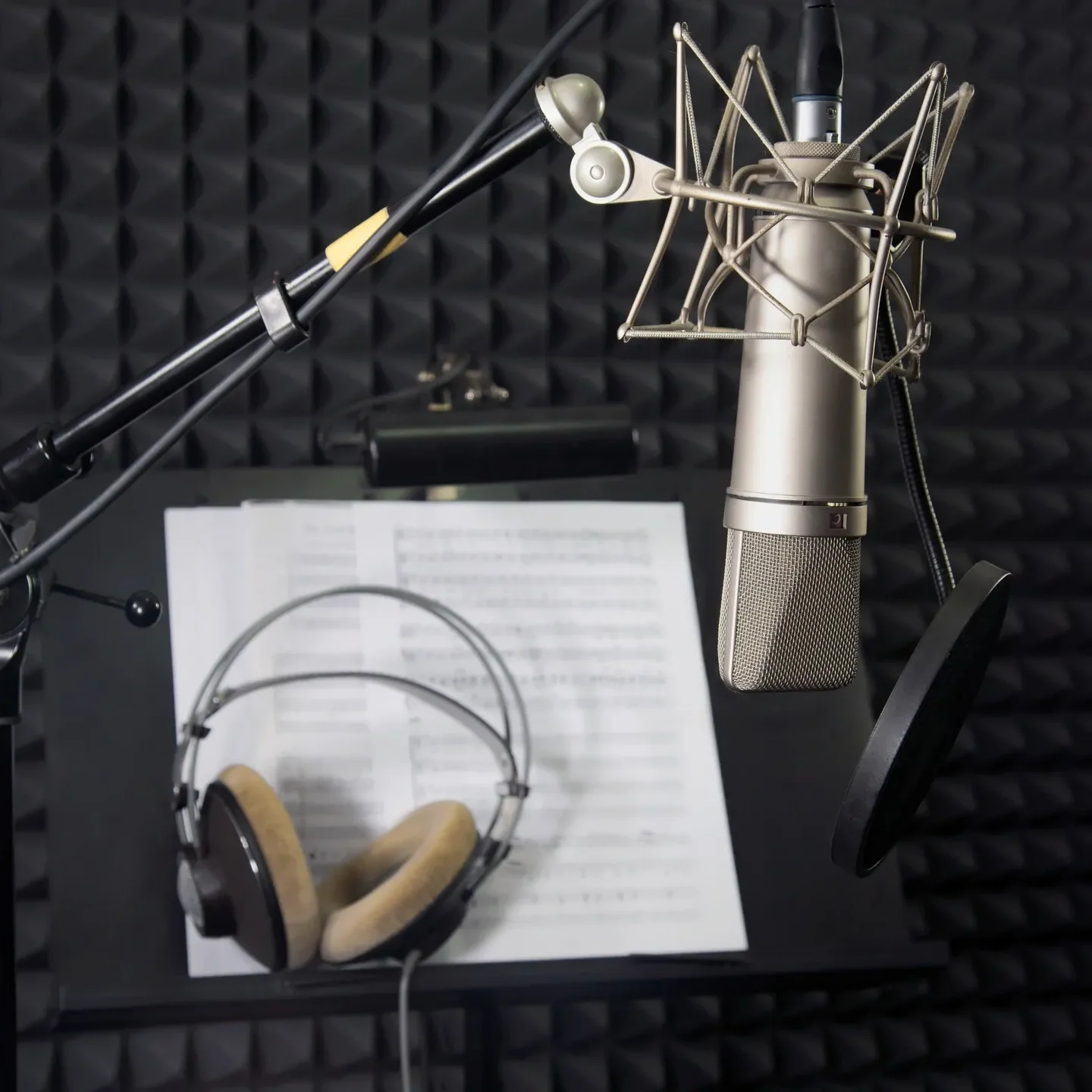 Music Stand and Microphone (Cropped)